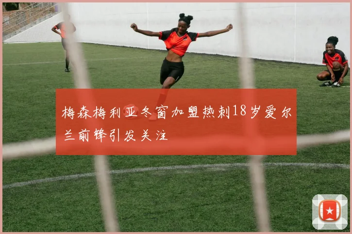 梅森梅利亚冬窗加盟热刺18岁爱尔兰前锋引发关注