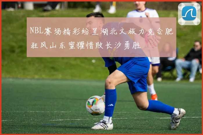 NBL赛场精彩纷呈湖北文旅力克合肥狂风山东蜜獾惜败长沙勇胜