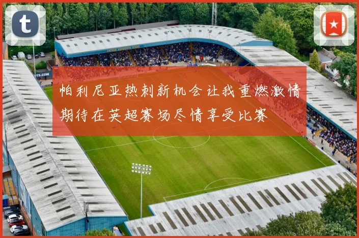 帕利尼亚热刺新机会让我重燃激情期待在英超赛场尽情享受比赛