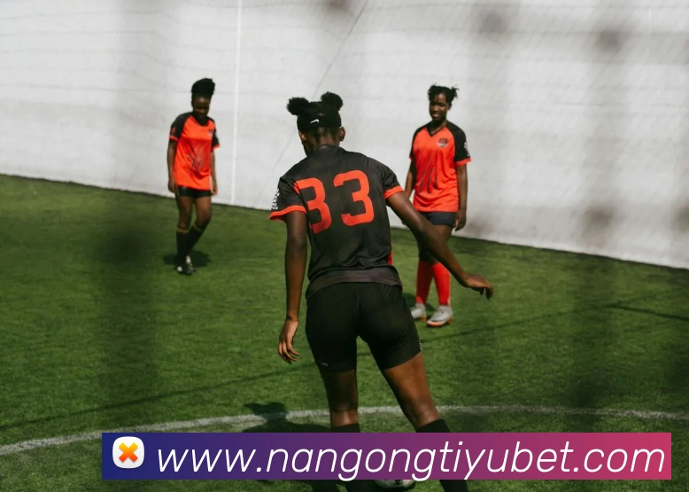 App Interface Preview